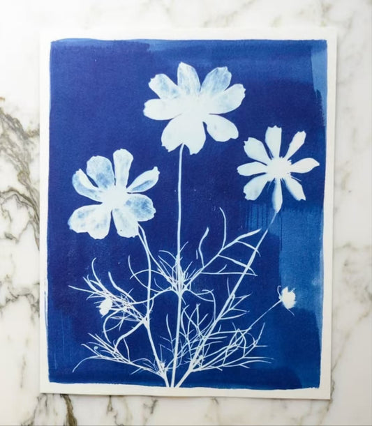 A5 Cyanotype Paper Refill (32 Sheets) Sun Art Paper Vintage Printing Kit Cyanotype Set Bulk Pack For High Demand Sun Photography DIY