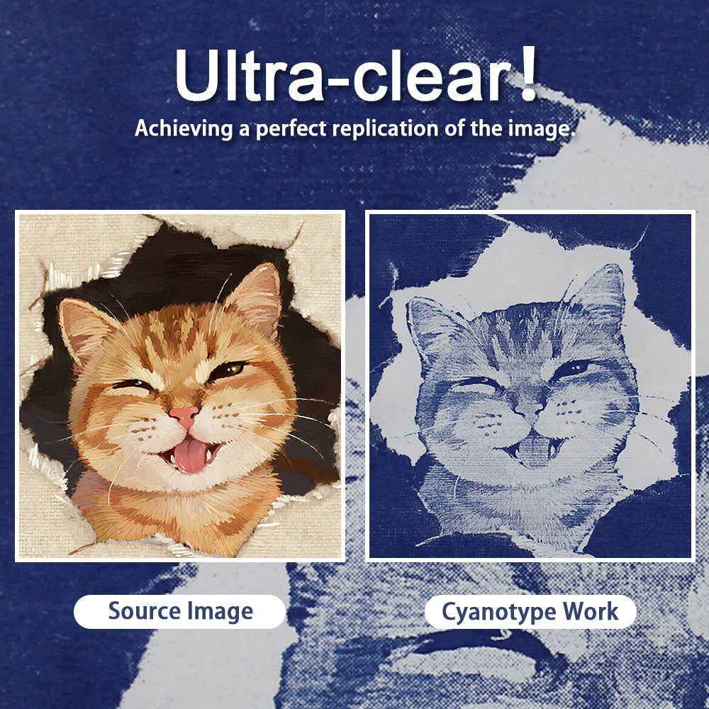 Square Cyanotype DIY Craft Kit - 12 Sheets 9.99.9cm Cyanotype Paper (Trial Pack), Sun Art Paper Retro Printing, For Mini Cyanotype Cards