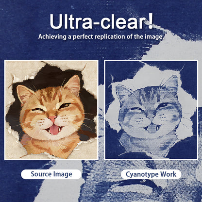 Square Cyanotype DIY Craft Kit - 12 Sheets 9.99.9cm Cyanotype Paper (Trial Pack), Sun Art Paper Retro Printing, For Mini Cyanotype Cards