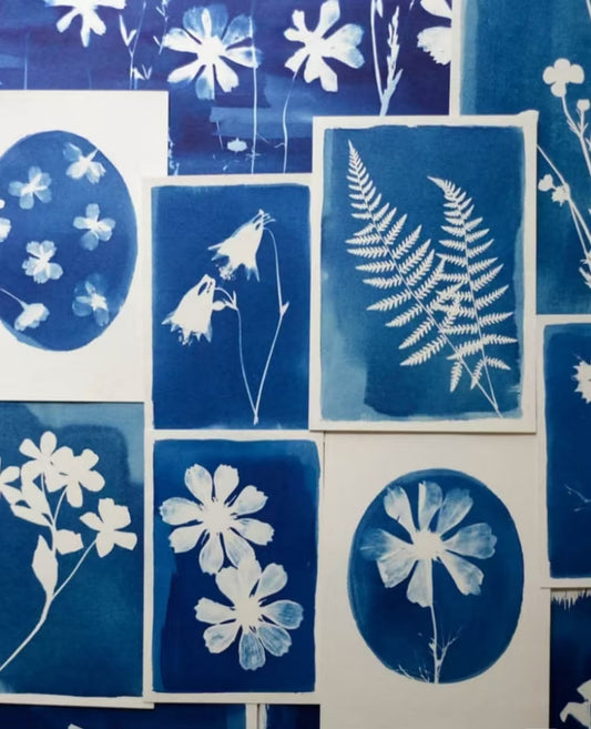 A6 Cyanotype Paper Refill (16 Sheets) Sun Art Paper Vintage Printing Kit Cyanotype Set Compatible With Existing Tools For Enthusiasts' Crafts