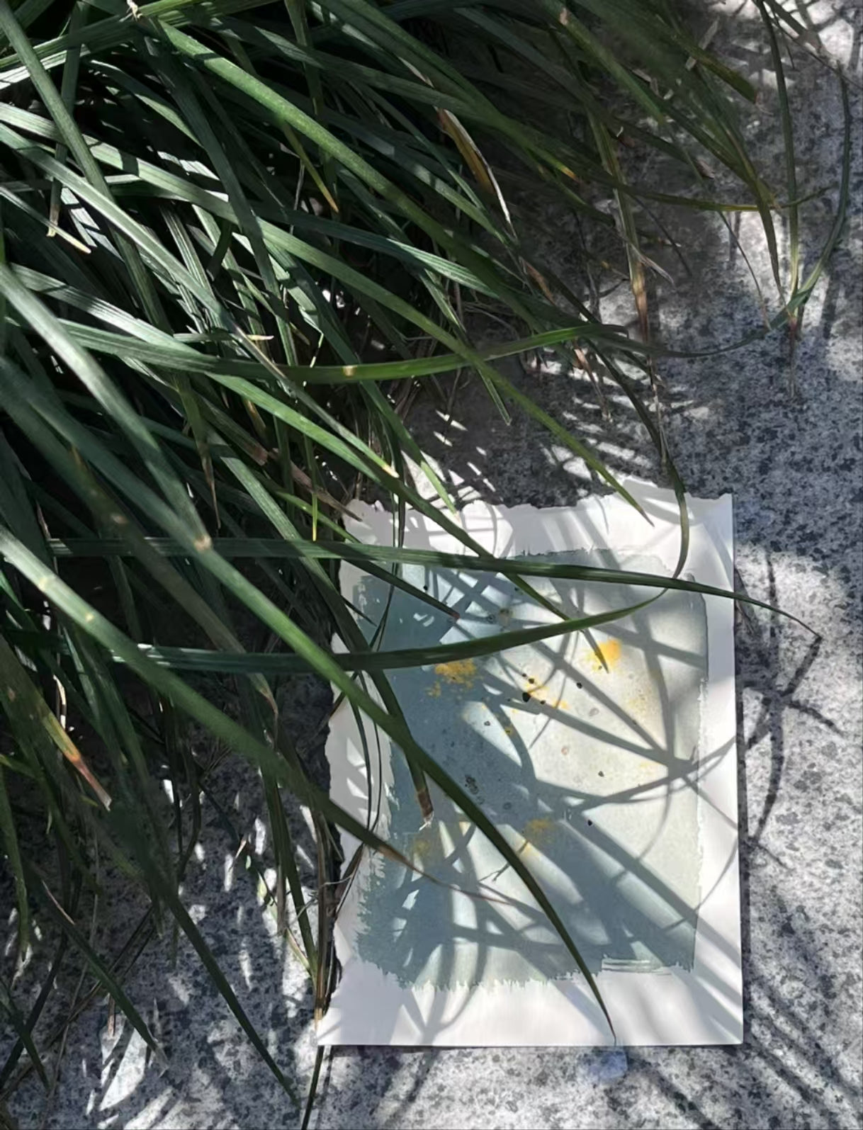 Cyanotype Set A6 Cyanotype Paper Refill - Detail 7