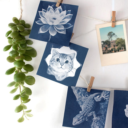 Square Cyanotype DIY Value Pack - 24 Sheets Sun Art Paper, Retro Printing/Mini Cyanotype Cards, For Beginners/Photography Lovers cyanotype set