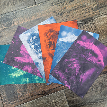 Cyanotype Set A4 Blank Cyanotype Film Kit 10-Sheet Value Pack Custom Printable Patterns For Advanced DIY/Photography Enthusiasts