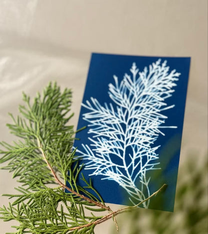 Cyanotype Set A5 Cyanotype Paper Refill (16 Sheets, Large Quantity) Sun Printing Paper DIY Supplies For Parent-Child Activities/Interest Classes Bookmark Specimen Postcard Making