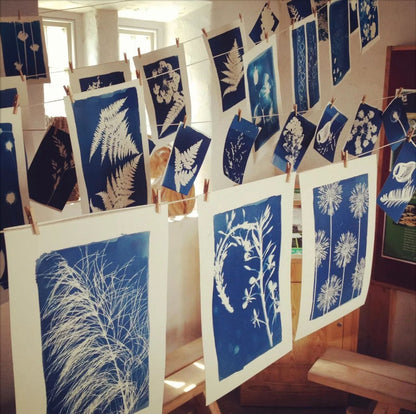 Cyanotype Set A5 Cyanotype Paper Refill | 10 Sheets | Advanced Trial Pack | For Bookmarks/Plant Specimens/Postcards