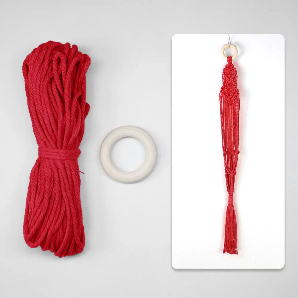Macrame Kit for Beginners, Boho Plant Hanger DIY Kit, Home Garden Decor Gift