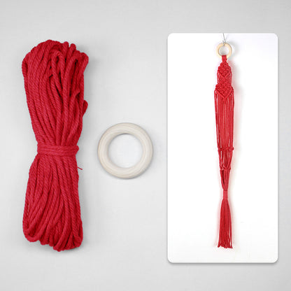 Macrame Kit Long Tassel Small Plant Hanger Weaving Kit | For Small-Medium Pots | Hanging Design | Space-Saving | Beginner-Friendly