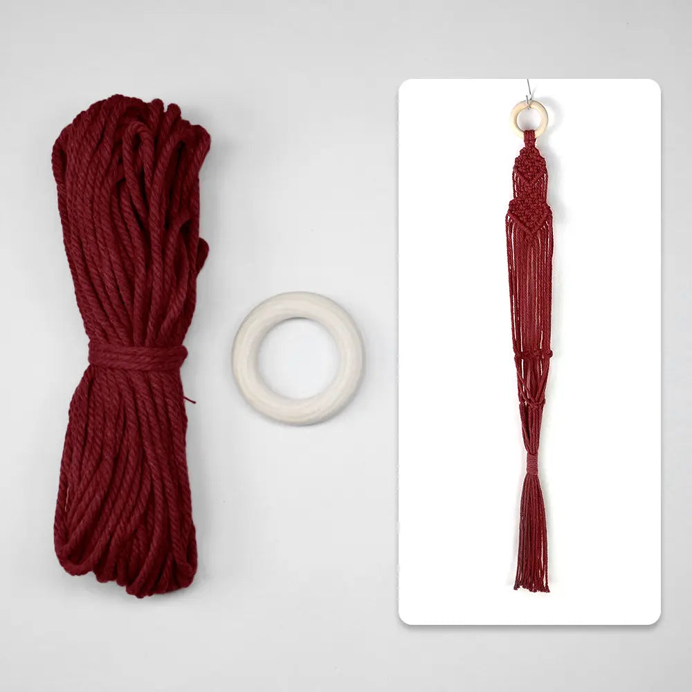 Macrame Kit for Beginners, Boho Plant Hanger DIY Kit, Home Garden Decor Gift