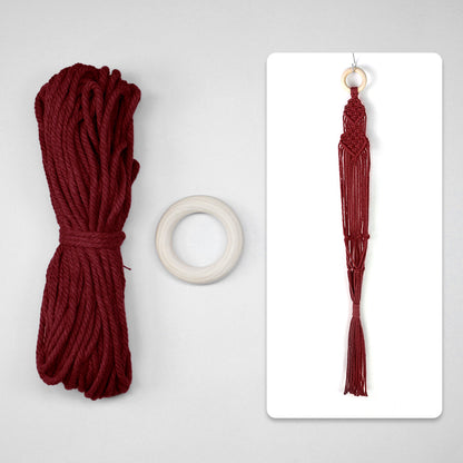 Macrame Kit Long Tassel Small Plant Hanger Weaving Kit | For Small-Medium Pots | Hanging Design | Space-Saving | Beginner-Friendly