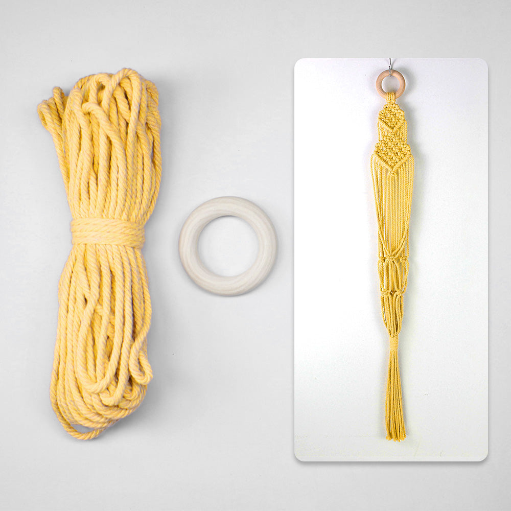 Macrame Kit Long Tassel Small Plant Hanger Weaving Kit | For Small-Medium Pots | Hanging Design | Space-Saving | Beginner-Friendly
