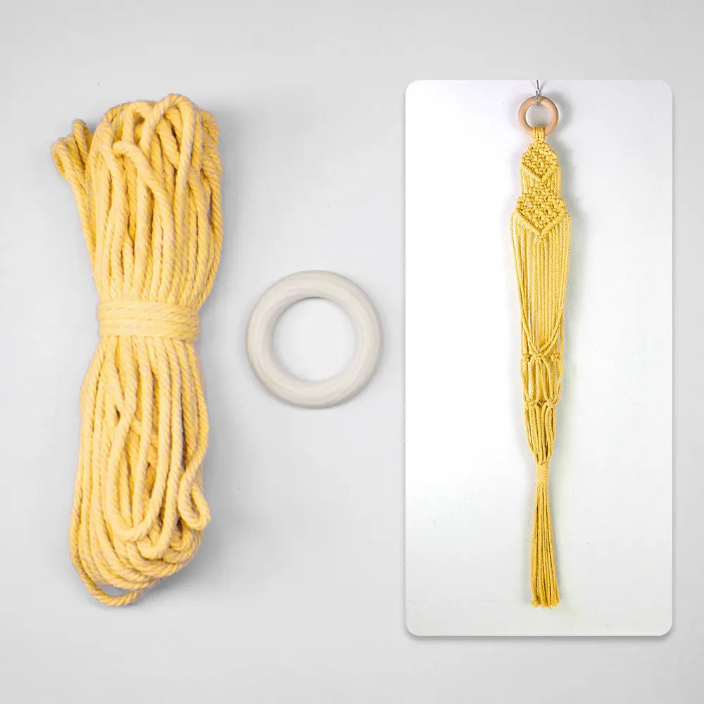 Macrame Kit for Beginners, Boho Plant Hanger DIY Kit, Home Garden Decor Gift
