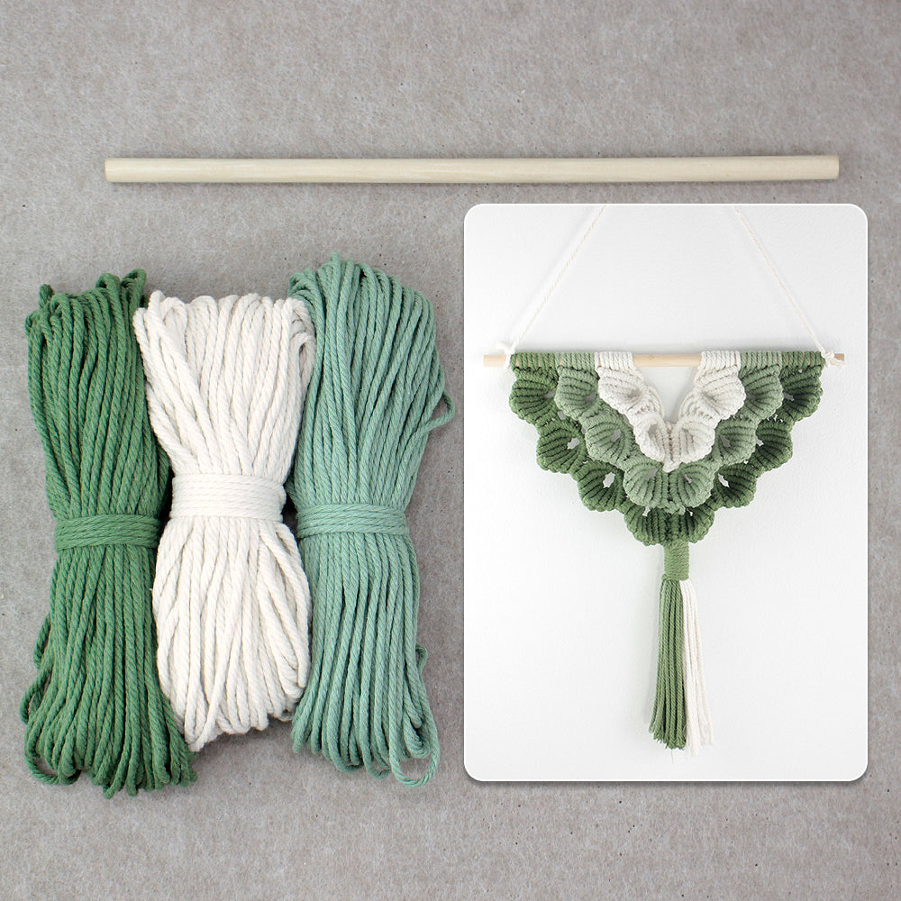 Macrame Kit Shell Tapestry Weaving Kit | 3-Color 3-Layer Gradient | Shell Links | Bedroom/Living Room Decor | Beginner-Friendly