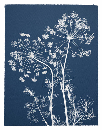 A4 Cyanotype Craft Kit Cyanotype Set | Sun Art Paper | 2 Cyanotype Sheets | For Photography/DIY Enthusiasts