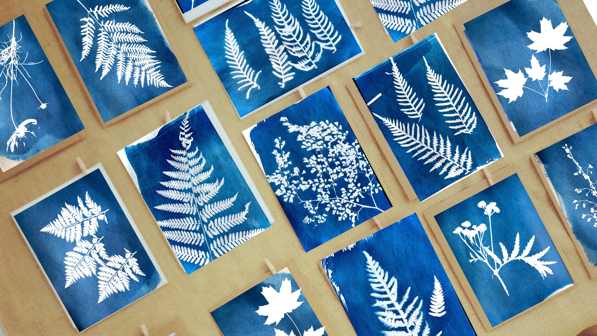 A6 Cyanotype Paper Refill (16 Sheets) Sun Art Paper Vin - Detail 10