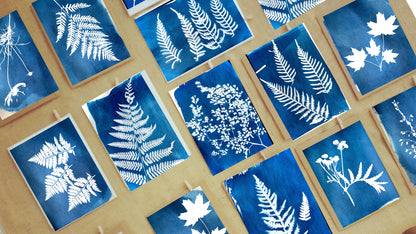 A6 Cyanotype Paper Refill (16 Sheets) Sun Art Paper Vin - Detail 10