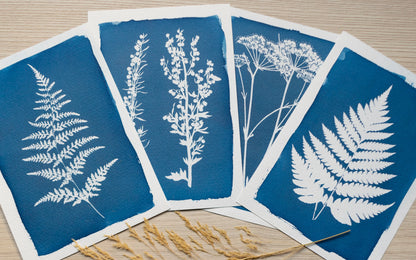 Cyanotype Set A5 Cyanotype Paper Refill | 10 Sheets | Advanced Trial Pack | For Bookmarks/Plant Specimens/Postcards
